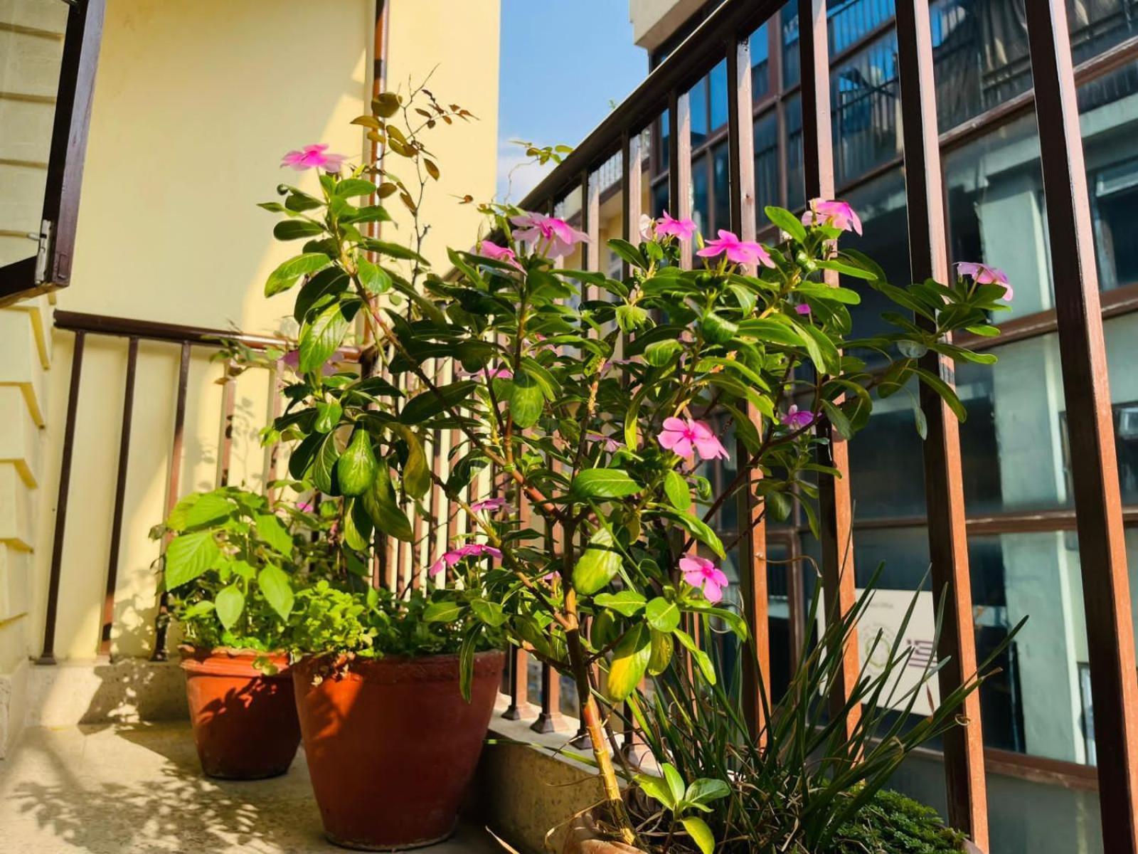 Holy Land Hotel Nepal Kathmandu Buitenkant foto
